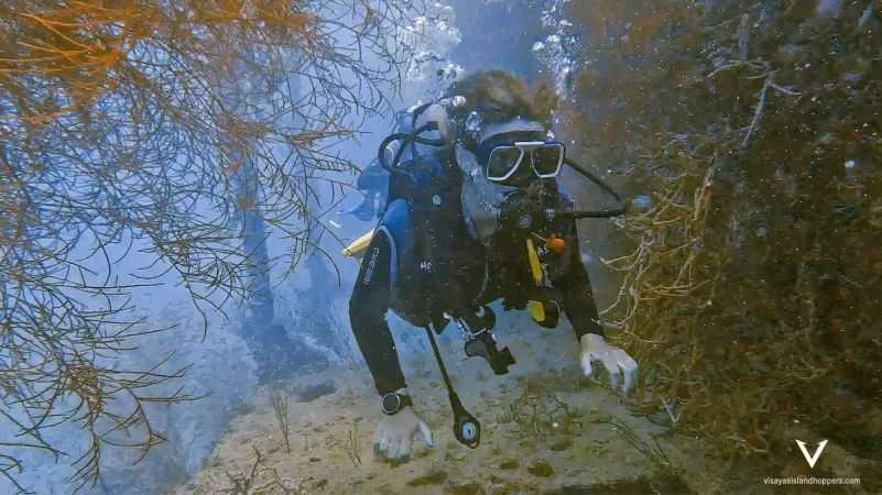 Visyas Island Hoppers Wreck Diving Coron Palawan