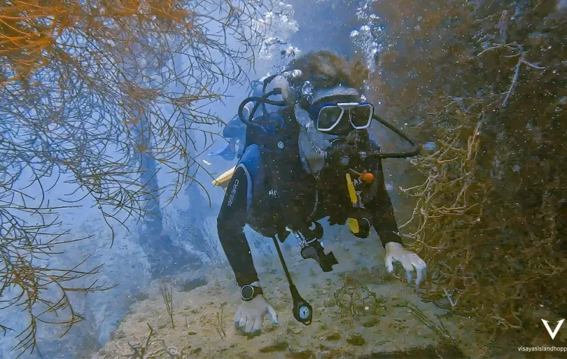Amazing Apo Reef Liveaboard Diving Adventure