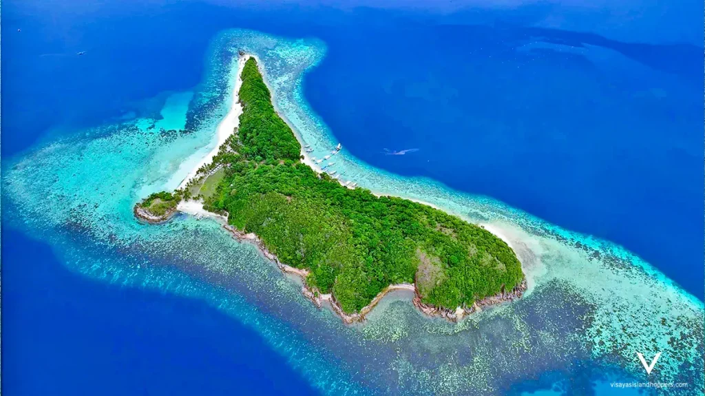 Apo Reef Live-aboard Safari: Explore the Philippines’ Diving Paradise
