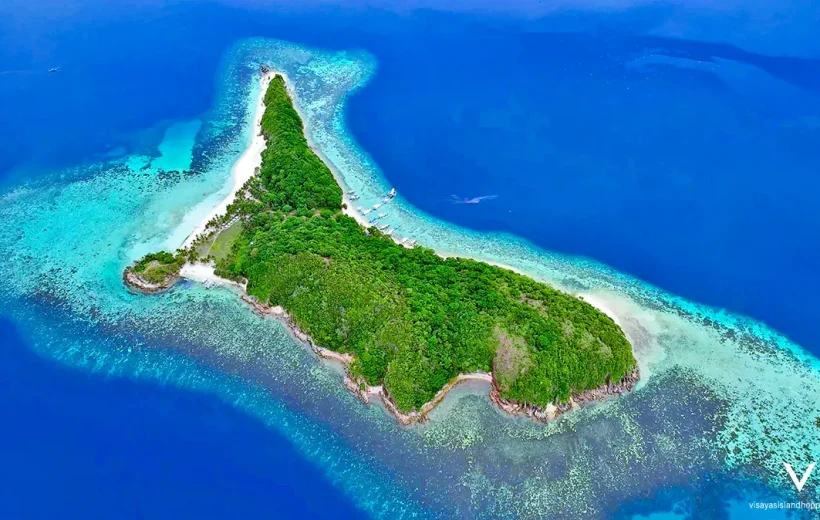 Luxury Liveaboard Dive: Apo Reef Yacht Adventure