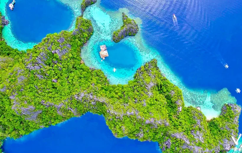 Ultimate Coron Dive Safari 7D/6N- Wrecks, Reefs & Dugongs