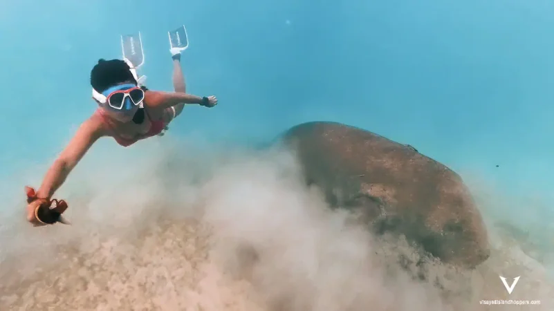 Dugong Watching & Black Island Adventure – A Day in Paradise