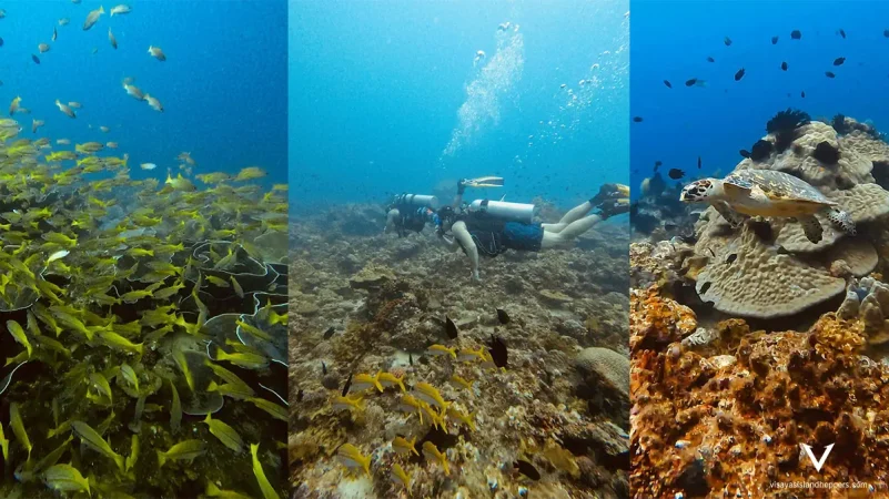 5 Days & 4 Nights El Nido Scuba Diving Adventure