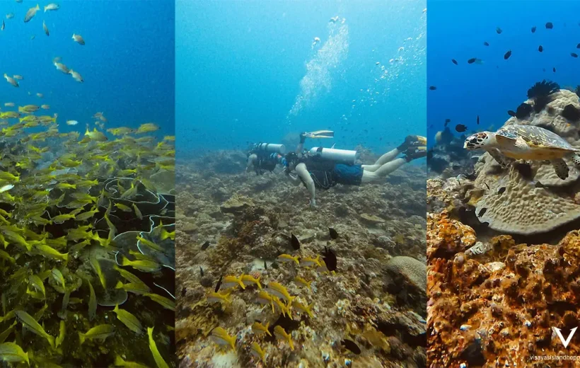 5-Day El Nido Scuba Diving Adventure – Unlimited Dives!