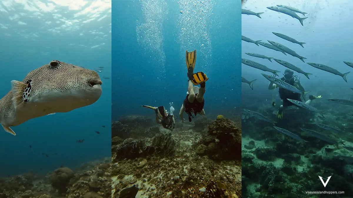 5 Days & 4 Nights El Nido Scuba Diving Adventure