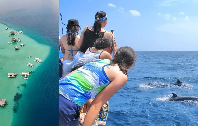 Dolphin Watching & Manjuyod White Sand Bar Adventure