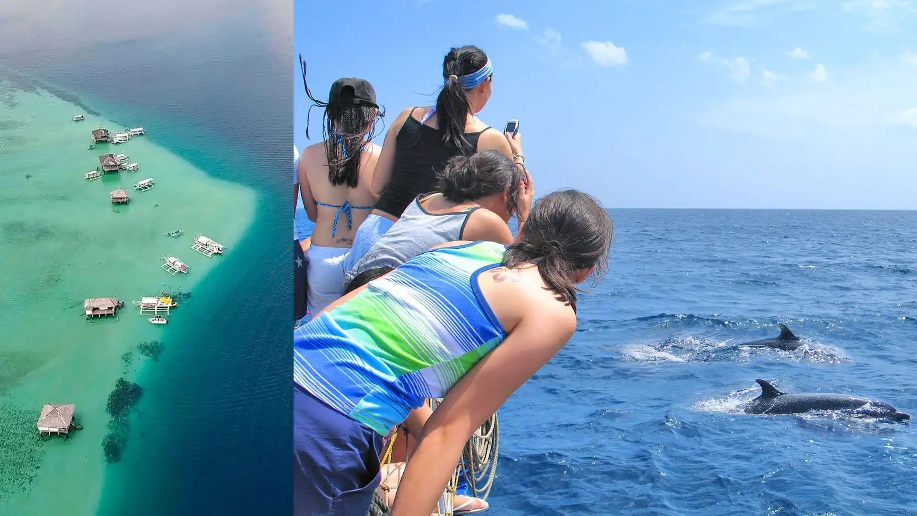 Visayas Island Hoppers Bais Dolphin Watching & Manjuyod Sand Bar Tour