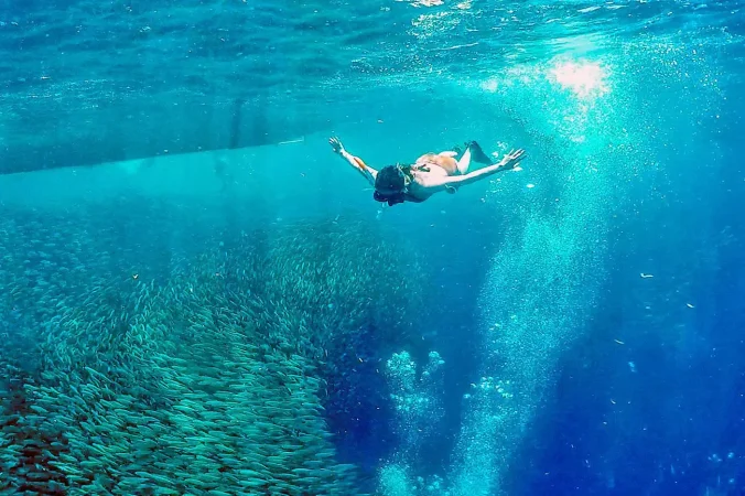 Visayas Island Hoppers Moalboal Sardines