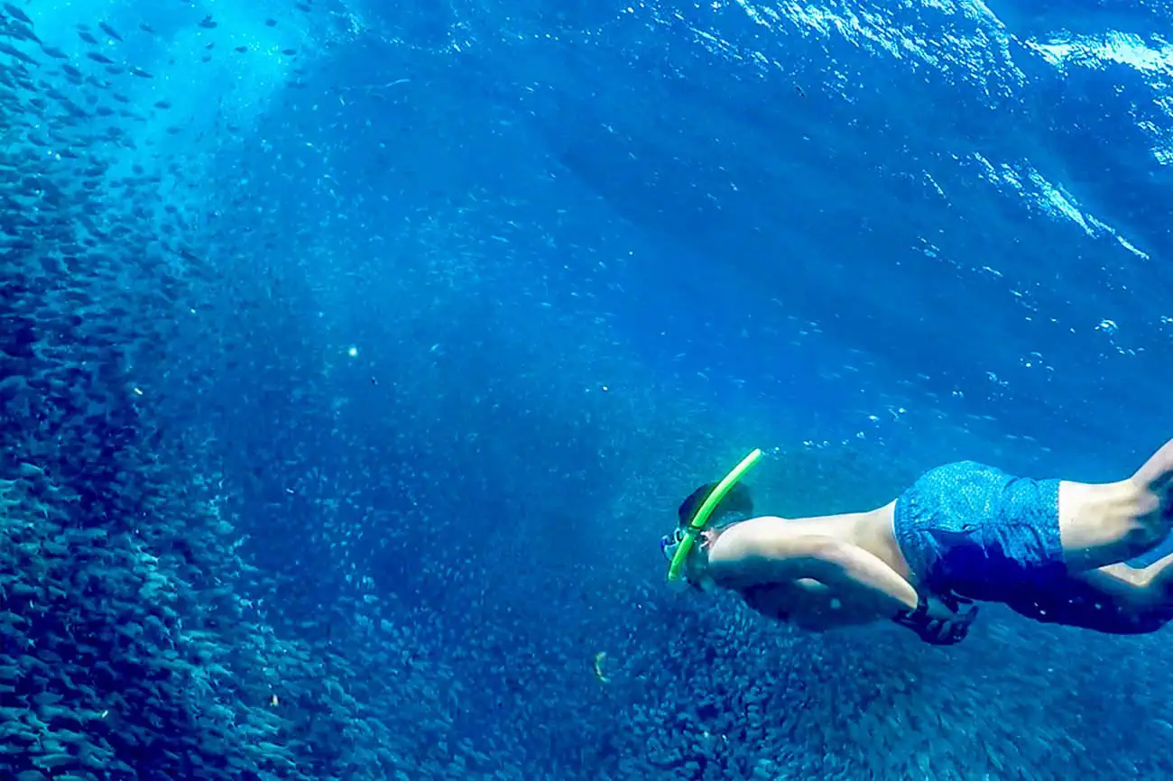 Visayas Island Hoppers Moalboal Sardines