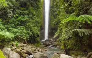 Casaroro Falls & Badian Canyoneering Day Tour